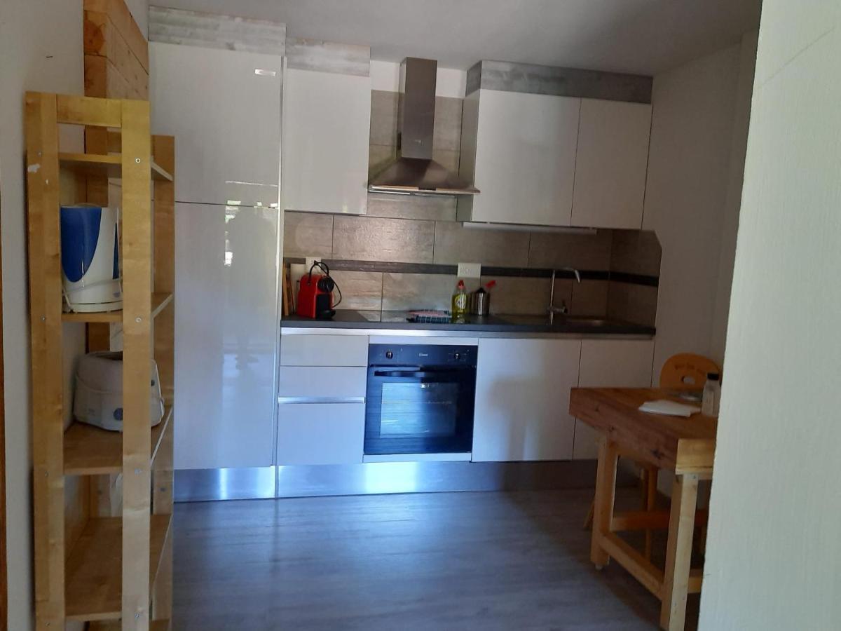 Apartament Berner Oberland Därligen Zewnętrze zdjęcie